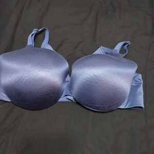 Cacique Smooth Molded T-Shirt Bra in Navy Blue